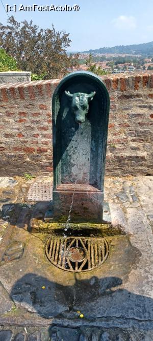 [P01] Cișmea cu cap de taur » foto by BristenaBrad
 - 
<span class="allrVoted glyphicon glyphicon-heart hidden" id="av1544612"></span>
<a class="m-l-10 hidden" id="sv1544612" onclick="voting_Foto_DelVot(,1544612,3466)" role="button">șterge vot <span class="glyphicon glyphicon-remove"></span></a>
<a id="v91544612" class=" c-red"  onclick="voting_Foto_SetVot(1544612)" role="button"><span class="glyphicon glyphicon-heart-empty"></span> <b>LIKE</b> = Votează poza</a> <img class="hidden"  id="f1544612W9" src="/imagini/loader.gif" border="0" /><span class="AjErrMes hidden" id="e1544612ErM"></span>
