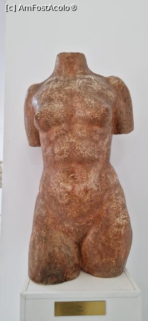 [P19] 19. Tors, ghips patinat. » foto by doinafil
 - 
<span class="allrVoted glyphicon glyphicon-heart hidden" id="av1522137"></span>
<a class="m-l-10 hidden" id="sv1522137" onclick="voting_Foto_DelVot(,1522137,3496)" role="button">șterge vot <span class="glyphicon glyphicon-remove"></span></a>
<a id="v91522137" class=" c-red"  onclick="voting_Foto_SetVot(1522137)" role="button"><span class="glyphicon glyphicon-heart-empty"></span> <b>LIKE</b> = Votează poza</a> <img class="hidden"  id="f1522137W9" src="/imagini/loader.gif" border="0" /><span class="AjErrMes hidden" id="e1522137ErM"></span>