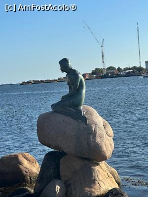 [P03] Copenhaga, Mica Sirenă, dimineața » foto by mprofeanu
 - 
<span class="allrVoted glyphicon glyphicon-heart hidden" id="av1506216"></span>
<a class="m-l-10 hidden" id="sv1506216" onclick="voting_Foto_DelVot(,1506216,3497)" role="button">șterge vot <span class="glyphicon glyphicon-remove"></span></a>
<a id="v91506216" class=" c-red"  onclick="voting_Foto_SetVot(1506216)" role="button"><span class="glyphicon glyphicon-heart-empty"></span> <b>LIKE</b> = Votează poza</a> <img class="hidden"  id="f1506216W9" src="/imagini/loader.gif" border="0" /><span class="AjErrMes hidden" id="e1506216ErM"></span>