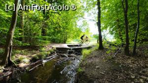 [P11] MTB-Tours Hareskoven, pe traseu » foto by Dragoș_MD
 - 
<span class="allrVoted glyphicon glyphicon-heart hidden" id="av1507515"></span>
<a class="m-l-10 hidden" id="sv1507515" onclick="voting_Foto_DelVot(,1507515,3497)" role="button">șterge vot <span class="glyphicon glyphicon-remove"></span></a>
<a id="v91507515" class=" c-red"  onclick="voting_Foto_SetVot(1507515)" role="button"><span class="glyphicon glyphicon-heart-empty"></span> <b>LIKE</b> = Votează poza</a> <img class="hidden"  id="f1507515W9" src="/imagini/loader.gif" border="0" /><span class="AjErrMes hidden" id="e1507515ErM"></span>