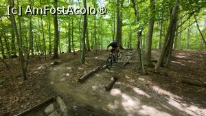 [P12] MTB-Tours Hareskoven, pe traseu » foto by Dragoș_MD
 - 
<span class="allrVoted glyphicon glyphicon-heart hidden" id="av1507516"></span>
<a class="m-l-10 hidden" id="sv1507516" onclick="voting_Foto_DelVot(,1507516,3497)" role="button">șterge vot <span class="glyphicon glyphicon-remove"></span></a>
<a id="v91507516" class=" c-red"  onclick="voting_Foto_SetVot(1507516)" role="button"><span class="glyphicon glyphicon-heart-empty"></span> <b>LIKE</b> = Votează poza</a> <img class="hidden"  id="f1507516W9" src="/imagini/loader.gif" border="0" /><span class="AjErrMes hidden" id="e1507516ErM"></span>