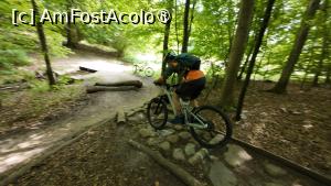 [P07] MTB-Tours Hareskoven, pe traseu » foto by Dragoș_MD
 - 
<span class="allrVoted glyphicon glyphicon-heart hidden" id="av1507511"></span>
<a class="m-l-10 hidden" id="sv1507511" onclick="voting_Foto_DelVot(,1507511,3497)" role="button">șterge vot <span class="glyphicon glyphicon-remove"></span></a>
<a id="v91507511" class=" c-red"  onclick="voting_Foto_SetVot(1507511)" role="button"><span class="glyphicon glyphicon-heart-empty"></span> <b>LIKE</b> = Votează poza</a> <img class="hidden"  id="f1507511W9" src="/imagini/loader.gif" border="0" /><span class="AjErrMes hidden" id="e1507511ErM"></span>