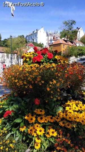 [P38]  -- <small>// FĂRĂ DESCRIERE</small> » foto by elenaadina
 - 
<span class="allrVoted glyphicon glyphicon-heart hidden" id="av1513111"></span>
<a class="m-l-10 hidden" id="sv1513111" onclick="voting_Foto_DelVot(,1513111,3499)" role="button">șterge vot <span class="glyphicon glyphicon-remove"></span></a>
<a id="v91513111" class=" c-red"  onclick="voting_Foto_SetVot(1513111)" role="button"><span class="glyphicon glyphicon-heart-empty"></span> <b>LIKE</b> = Votează poza</a> <img class="hidden"  id="f1513111W9" src="/imagini/loader.gif" border="0" /><span class="AjErrMes hidden" id="e1513111ErM"></span>