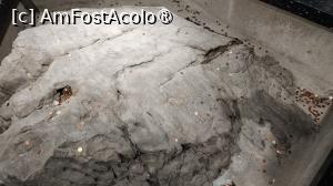 [P57]  -- <small>// FĂRĂ DESCRIERE</small> » foto by elenaadina
 - 
<span class="allrVoted glyphicon glyphicon-heart hidden" id="av1524591"></span>
<a class="m-l-10 hidden" id="sv1524591" onclick="voting_Foto_DelVot(,1524591,3499)" role="button">șterge vot <span class="glyphicon glyphicon-remove"></span></a>
<a id="v91524591" class=" c-red"  onclick="voting_Foto_SetVot(1524591)" role="button"><span class="glyphicon glyphicon-heart-empty"></span> <b>LIKE</b> = Votează poza</a> <img class="hidden"  id="f1524591W9" src="/imagini/loader.gif" border="0" /><span class="AjErrMes hidden" id="e1524591ErM"></span>