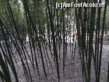 [P79]  -- <small>// FĂRĂ DESCRIERE</small> » foto by Marian Preda
 - 
<span class="allrVoted glyphicon glyphicon-heart hidden" id="av351098"></span>
<a class="m-l-10 hidden" id="sv351098" onclick="voting_Foto_DelVot(,351098,3501)" role="button">șterge vot <span class="glyphicon glyphicon-remove"></span></a>
<a id="v9351098" class=" c-red"  onclick="voting_Foto_SetVot(351098)" role="button"><span class="glyphicon glyphicon-heart-empty"></span> <b>LIKE</b> = Votează poza</a> <img class="hidden"  id="f351098W9" src="/imagini/loader.gif" border="0" /><span class="AjErrMes hidden" id="e351098ErM"></span>