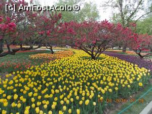 P28 [APR-2016] Beijing, Grădina Botanică, minune de culori