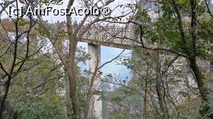 [P85]  -- <small>// FĂRĂ DESCRIERE</small> » foto by elenaadina
 - 
<span class="allrVoted glyphicon glyphicon-heart hidden" id="av1505685"></span>
<a class="m-l-10 hidden" id="sv1505685" onclick="voting_Foto_DelVot(,1505685,3501)" role="button">șterge vot <span class="glyphicon glyphicon-remove"></span></a>
<a id="v91505685" class=" c-red"  onclick="voting_Foto_SetVot(1505685)" role="button"><span class="glyphicon glyphicon-heart-empty"></span> <b>LIKE</b> = Votează poza</a> <img class="hidden"  id="f1505685W9" src="/imagini/loader.gif" border="0" /><span class="AjErrMes hidden" id="e1505685ErM"></span>