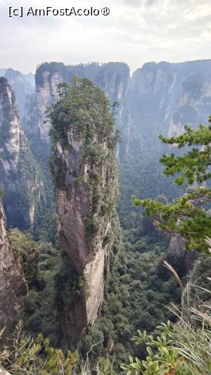 [P56] Hallelujah Mountain (Montana plutitoare din filmul Avatar) » foto by elenaadina
 - 
<span class="allrVoted glyphicon glyphicon-heart hidden" id="av1506545"></span>
<a class="m-l-10 hidden" id="sv1506545" onclick="voting_Foto_DelVot(,1506545,3501)" role="button">șterge vot <span class="glyphicon glyphicon-remove"></span></a>
<a id="v91506545" class=" c-red"  onclick="voting_Foto_SetVot(1506545)" role="button"><span class="glyphicon glyphicon-heart-empty"></span> <b>LIKE</b> = Votează poza</a> <img class="hidden"  id="f1506545W9" src="/imagini/loader.gif" border="0" /><span class="AjErrMes hidden" id="e1506545ErM"></span>