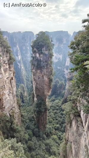 [P58] Hallelujah Mountain (Montana plutitoare din filmul Avatar) » foto by elenaadina
 - 
<span class="allrVoted glyphicon glyphicon-heart hidden" id="av1506547"></span>
<a class="m-l-10 hidden" id="sv1506547" onclick="voting_Foto_DelVot(,1506547,3501)" role="button">șterge vot <span class="glyphicon glyphicon-remove"></span></a>
<a id="v91506547" class=" c-red"  onclick="voting_Foto_SetVot(1506547)" role="button"><span class="glyphicon glyphicon-heart-empty"></span> <b>LIKE</b> = Votează poza</a> <img class="hidden"  id="f1506547W9" src="/imagini/loader.gif" border="0" /><span class="AjErrMes hidden" id="e1506547ErM"></span>