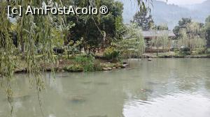 [P65]  -- <small>// FĂRĂ DESCRIERE</small> » foto by elenaadina
 - 
<span class="allrVoted glyphicon glyphicon-heart hidden" id="av1507111"></span>
<a class="m-l-10 hidden" id="sv1507111" onclick="voting_Foto_DelVot(,1507111,3501)" role="button">șterge vot <span class="glyphicon glyphicon-remove"></span></a>
<a id="v91507111" class=" c-red"  onclick="voting_Foto_SetVot(1507111)" role="button"><span class="glyphicon glyphicon-heart-empty"></span> <b>LIKE</b> = Votează poza</a> <img class="hidden"  id="f1507111W9" src="/imagini/loader.gif" border="0" /><span class="AjErrMes hidden" id="e1507111ErM"></span>