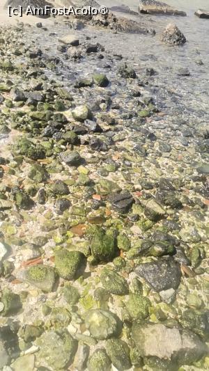 [P20] De aici, am luat si eu cateva suveniruri, pentru 'litoteca' mea. » foto by dorgo
 - 
<span class="allrVoted glyphicon glyphicon-heart hidden" id="av1508491"></span>
<a class="m-l-10 hidden" id="sv1508491" onclick="voting_Foto_DelVot(,1508491,3509)" role="button">șterge vot <span class="glyphicon glyphicon-remove"></span></a>
<a id="v91508491" class=" c-red"  onclick="voting_Foto_SetVot(1508491)" role="button"><span class="glyphicon glyphicon-heart-empty"></span> <b>LIKE</b> = Votează poza</a> <img class="hidden"  id="f1508491W9" src="/imagini/loader.gif" border="0" /><span class="AjErrMes hidden" id="e1508491ErM"></span>