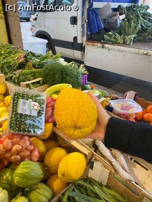 [P18] Cefalu-lămâie » foto by Yersinia Pestis
 - 
<span class="allrVoted glyphicon glyphicon-heart hidden" id="av1515262"></span>
<a class="m-l-10 hidden" id="sv1515262" onclick="voting_Foto_DelVot(,1515262,3510)" role="button">șterge vot <span class="glyphicon glyphicon-remove"></span></a>
<a id="v91515262" class=" c-red"  onclick="voting_Foto_SetVot(1515262)" role="button"><span class="glyphicon glyphicon-heart-empty"></span> <b>LIKE</b> = Votează poza</a> <img class="hidden"  id="f1515262W9" src="/imagini/loader.gif" border="0" /><span class="AjErrMes hidden" id="e1515262ErM"></span>