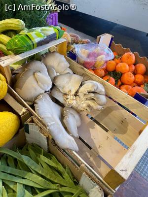 [P20] Cefalu-din magazin alimentar » foto by Yersinia Pestis
 - 
<span class="allrVoted glyphicon glyphicon-heart hidden" id="av1515264"></span>
<a class="m-l-10 hidden" id="sv1515264" onclick="voting_Foto_DelVot(,1515264,3510)" role="button">șterge vot <span class="glyphicon glyphicon-remove"></span></a>
<a id="v91515264" class=" c-red"  onclick="voting_Foto_SetVot(1515264)" role="button"><span class="glyphicon glyphicon-heart-empty"></span> <b>LIKE</b> = Votează poza</a> <img class="hidden"  id="f1515264W9" src="/imagini/loader.gif" border="0" /><span class="AjErrMes hidden" id="e1515264ErM"></span>