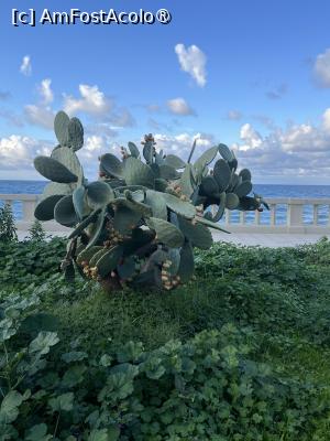 [P06] Cefalu - Lungomare » foto by Yersinia Pestis
 - 
<span class="allrVoted glyphicon glyphicon-heart hidden" id="av1515250"></span>
<a class="m-l-10 hidden" id="sv1515250" onclick="voting_Foto_DelVot(,1515250,3510)" role="button">șterge vot <span class="glyphicon glyphicon-remove"></span></a>
<a id="v91515250" class=" c-red"  onclick="voting_Foto_SetVot(1515250)" role="button"><span class="glyphicon glyphicon-heart-empty"></span> <b>LIKE</b> = Votează poza</a> <img class="hidden"  id="f1515250W9" src="/imagini/loader.gif" border="0" /><span class="AjErrMes hidden" id="e1515250ErM"></span>