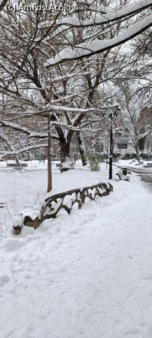 [P14] Iarna în parcul Ioanid. » foto by tata123 🔱
 - 
<span class="allrVoted glyphicon glyphicon-heart hidden" id="av1474225"></span>
<a class="m-l-10 hidden" id="sv1474225" onclick="voting_Foto_DelVot(,1474225,3511)" role="button">șterge vot <span class="glyphicon glyphicon-remove"></span></a>
<a id="v91474225" class=" c-red"  onclick="voting_Foto_SetVot(1474225)" role="button"><span class="glyphicon glyphicon-heart-empty"></span> <b>LIKE</b> = Votează poza</a> <img class="hidden"  id="f1474225W9" src="/imagini/loader.gif" border="0" /><span class="AjErrMes hidden" id="e1474225ErM"></span>