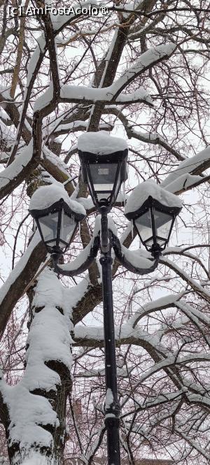 [P15] Iarna în parcul Ioanid. » foto by tata123 🔱
 - 
<span class="allrVoted glyphicon glyphicon-heart hidden" id="av1474226"></span>
<a class="m-l-10 hidden" id="sv1474226" onclick="voting_Foto_DelVot(,1474226,3511)" role="button">șterge vot <span class="glyphicon glyphicon-remove"></span></a>
<a id="v91474226" class=" c-red"  onclick="voting_Foto_SetVot(1474226)" role="button"><span class="glyphicon glyphicon-heart-empty"></span> <b>LIKE</b> = Votează poza</a> <img class="hidden"  id="f1474226W9" src="/imagini/loader.gif" border="0" /><span class="AjErrMes hidden" id="e1474226ErM"></span>