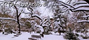 [P16] Iarna în parcul Ioanid. » foto by tata123 🔱
 - 
<span class="allrVoted glyphicon glyphicon-heart hidden" id="av1474227"></span>
<a class="m-l-10 hidden" id="sv1474227" onclick="voting_Foto_DelVot(,1474227,3511)" role="button">șterge vot <span class="glyphicon glyphicon-remove"></span></a>
<a id="v91474227" class=" c-red"  onclick="voting_Foto_SetVot(1474227)" role="button"><span class="glyphicon glyphicon-heart-empty"></span> <b>LIKE</b> = Votează poza</a> <img class="hidden"  id="f1474227W9" src="/imagini/loader.gif" border="0" /><span class="AjErrMes hidden" id="e1474227ErM"></span>