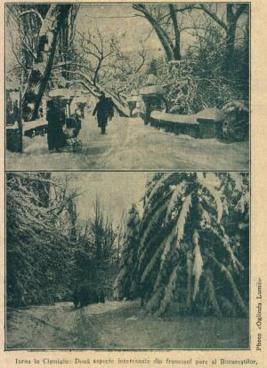 [P28] Iarna în Cismigiu - februarie 1926 (preluare presa vremii). » foto by tata123 🔱 <span class="label label-default labelC_thin small">NEVOTABILĂ</span>