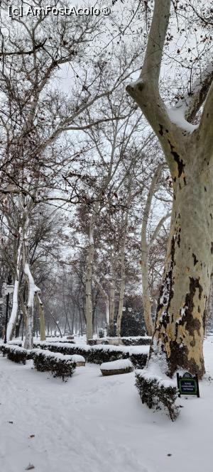 [P03] Iarna în parcul Cișmigiu. » foto by tata123 🔱
 - 
<span class="allrVoted glyphicon glyphicon-heart hidden" id="av1474214"></span>
<a class="m-l-10 hidden" id="sv1474214" onclick="voting_Foto_DelVot(,1474214,3511)" role="button">șterge vot <span class="glyphicon glyphicon-remove"></span></a>
<a id="v91474214" class=" c-red"  onclick="voting_Foto_SetVot(1474214)" role="button"><span class="glyphicon glyphicon-heart-empty"></span> <b>LIKE</b> = Votează poza</a> <img class="hidden"  id="f1474214W9" src="/imagini/loader.gif" border="0" /><span class="AjErrMes hidden" id="e1474214ErM"></span>