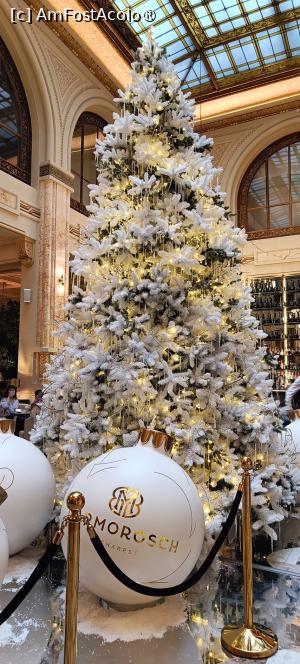 [P06] Decor de iarnă personalizat. » foto by tata123 🔱
 - 
<span class="allrVoted glyphicon glyphicon-heart hidden" id="av1514015"></span>
<a class="m-l-10 hidden" id="sv1514015" onclick="voting_Foto_DelVot(,1514015,3511)" role="button">șterge vot <span class="glyphicon glyphicon-remove"></span></a>
<a id="v91514015" class=" c-red"  onclick="voting_Foto_SetVot(1514015)" role="button"><span class="glyphicon glyphicon-heart-empty"></span> <b>LIKE</b> = Votează poza</a> <img class="hidden"  id="f1514015W9" src="/imagini/loader.gif" border="0" /><span class="AjErrMes hidden" id="e1514015ErM"></span>