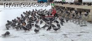 [P34] În Piața Romană, „la Coloane”, porumbeii așteaptă... » foto by tata123 🔱
 - 
<span class="allrVoted glyphicon glyphicon-heart hidden" id="av1518515"></span>
<a class="m-l-10 hidden" id="sv1518515" onclick="voting_Foto_DelVot(,1518515,3511)" role="button">șterge vot <span class="glyphicon glyphicon-remove"></span></a>
<a id="v91518515" class=" c-red"  onclick="voting_Foto_SetVot(1518515)" role="button"><span class="glyphicon glyphicon-heart-empty"></span> <b>LIKE</b> = Votează poza</a> <img class="hidden"  id="f1518515W9" src="/imagini/loader.gif" border="0" /><span class="AjErrMes hidden" id="e1518515ErM"></span>