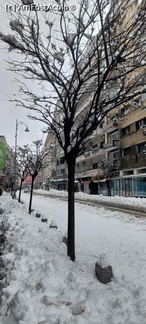 [P05] Pe Calea Victoriei. » foto by tata123 🔱
 - 
<span class="allrVoted glyphicon glyphicon-heart hidden" id="av1518486"></span>
<a class="m-l-10 hidden" id="sv1518486" onclick="voting_Foto_DelVot(,1518486,3511)" role="button">șterge vot <span class="glyphicon glyphicon-remove"></span></a>
<a id="v91518486" class=" c-red"  onclick="voting_Foto_SetVot(1518486)" role="button"><span class="glyphicon glyphicon-heart-empty"></span> <b>LIKE</b> = Votează poza</a> <img class="hidden"  id="f1518486W9" src="/imagini/loader.gif" border="0" /><span class="AjErrMes hidden" id="e1518486ErM"></span>