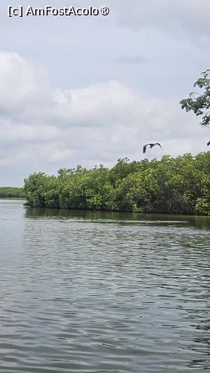 [P12] vedere din deltă » foto by robert
 - 
<span class="allrVoted glyphicon glyphicon-heart hidden" id="av1511279"></span>
<a class="m-l-10 hidden" id="sv1511279" onclick="voting_Foto_DelVot(,1511279,3514)" role="button">șterge vot <span class="glyphicon glyphicon-remove"></span></a>
<a id="v91511279" class=" c-red"  onclick="voting_Foto_SetVot(1511279)" role="button"><span class="glyphicon glyphicon-heart-empty"></span> <b>LIKE</b> = Votează poza</a> <img class="hidden"  id="f1511279W9" src="/imagini/loader.gif" border="0" /><span class="AjErrMes hidden" id="e1511279ErM"></span>