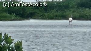 [P16] vedere din deltă » foto by robert
 - 
<span class="allrVoted glyphicon glyphicon-heart hidden" id="av1511283"></span>
<a class="m-l-10 hidden" id="sv1511283" onclick="voting_Foto_DelVot(,1511283,3514)" role="button">șterge vot <span class="glyphicon glyphicon-remove"></span></a>
<a id="v91511283" class=" c-red"  onclick="voting_Foto_SetVot(1511283)" role="button"><span class="glyphicon glyphicon-heart-empty"></span> <b>LIKE</b> = Votează poza</a> <img class="hidden"  id="f1511283W9" src="/imagini/loader.gif" border="0" /><span class="AjErrMes hidden" id="e1511283ErM"></span>