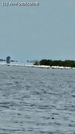 [P18] vedere din deltă » foto by robert
 - 
<span class="allrVoted glyphicon glyphicon-heart hidden" id="av1511285"></span>
<a class="m-l-10 hidden" id="sv1511285" onclick="voting_Foto_DelVot(,1511285,3514)" role="button">șterge vot <span class="glyphicon glyphicon-remove"></span></a>
<a id="v91511285" class=" c-red"  onclick="voting_Foto_SetVot(1511285)" role="button"><span class="glyphicon glyphicon-heart-empty"></span> <b>LIKE</b> = Votează poza</a> <img class="hidden"  id="f1511285W9" src="/imagini/loader.gif" border="0" /><span class="AjErrMes hidden" id="e1511285ErM"></span>