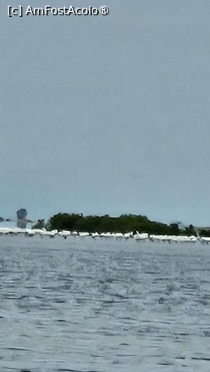 [P19] vedere din deltă » foto by robert
 - 
<span class="allrVoted glyphicon glyphicon-heart hidden" id="av1511286"></span>
<a class="m-l-10 hidden" id="sv1511286" onclick="voting_Foto_DelVot(,1511286,3514)" role="button">șterge vot <span class="glyphicon glyphicon-remove"></span></a>
<a id="v91511286" class=" c-red"  onclick="voting_Foto_SetVot(1511286)" role="button"><span class="glyphicon glyphicon-heart-empty"></span> <b>LIKE</b> = Votează poza</a> <img class="hidden"  id="f1511286W9" src="/imagini/loader.gif" border="0" /><span class="AjErrMes hidden" id="e1511286ErM"></span>