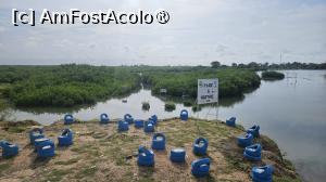 [P02] fermă de stridii » foto by robert
 - 
<span class="allrVoted glyphicon glyphicon-heart hidden" id="av1511269"></span>
<a class="m-l-10 hidden" id="sv1511269" onclick="voting_Foto_DelVot(,1511269,3514)" role="button">șterge vot <span class="glyphicon glyphicon-remove"></span></a>
<a id="v91511269" class=" c-red"  onclick="voting_Foto_SetVot(1511269)" role="button"><span class="glyphicon glyphicon-heart-empty"></span> <b>LIKE</b> = Votează poza</a> <img class="hidden"  id="f1511269W9" src="/imagini/loader.gif" border="0" /><span class="AjErrMes hidden" id="e1511269ErM"></span>