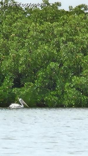 [P25] vedere din deltă » foto by robert
 - 
<span class="allrVoted glyphicon glyphicon-heart hidden" id="av1511292"></span>
<a class="m-l-10 hidden" id="sv1511292" onclick="voting_Foto_DelVot(,1511292,3514)" role="button">șterge vot <span class="glyphicon glyphicon-remove"></span></a>
<a id="v91511292" class=" c-red"  onclick="voting_Foto_SetVot(1511292)" role="button"><span class="glyphicon glyphicon-heart-empty"></span> <b>LIKE</b> = Votează poza</a> <img class="hidden"  id="f1511292W9" src="/imagini/loader.gif" border="0" /><span class="AjErrMes hidden" id="e1511292ErM"></span>