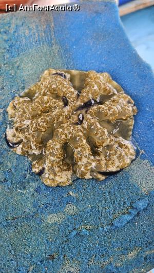 [P29] stau pe plajă buză în buză » foto by robert
 - 
<span class="allrVoted glyphicon glyphicon-heart hidden" id="av1511296"></span>
<a class="m-l-10 hidden" id="sv1511296" onclick="voting_Foto_DelVot(,1511296,3514)" role="button">șterge vot <span class="glyphicon glyphicon-remove"></span></a>
<a id="v91511296" class=" c-red"  onclick="voting_Foto_SetVot(1511296)" role="button"><span class="glyphicon glyphicon-heart-empty"></span> <b>LIKE</b> = Votează poza</a> <img class="hidden"  id="f1511296W9" src="/imagini/loader.gif" border="0" /><span class="AjErrMes hidden" id="e1511296ErM"></span>