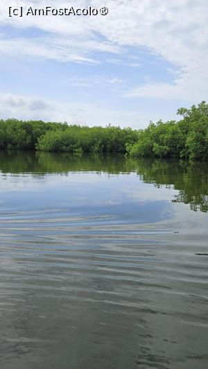 [P30] vedere din deltă » foto by robert
 - 
<span class="allrVoted glyphicon glyphicon-heart hidden" id="av1511297"></span>
<a class="m-l-10 hidden" id="sv1511297" onclick="voting_Foto_DelVot(,1511297,3514)" role="button">șterge vot <span class="glyphicon glyphicon-remove"></span></a>
<a id="v91511297" class=" c-red"  onclick="voting_Foto_SetVot(1511297)" role="button"><span class="glyphicon glyphicon-heart-empty"></span> <b>LIKE</b> = Votează poza</a> <img class="hidden"  id="f1511297W9" src="/imagini/loader.gif" border="0" /><span class="AjErrMes hidden" id="e1511297ErM"></span>