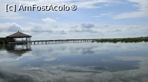 [P32] vedere din deltă » foto by robert
 - 
<span class="allrVoted glyphicon glyphicon-heart hidden" id="av1511299"></span>
<a class="m-l-10 hidden" id="sv1511299" onclick="voting_Foto_DelVot(,1511299,3514)" role="button">șterge vot <span class="glyphicon glyphicon-remove"></span></a>
<a id="v91511299" class=" c-red"  onclick="voting_Foto_SetVot(1511299)" role="button"><span class="glyphicon glyphicon-heart-empty"></span> <b>LIKE</b> = Votează poza</a> <img class="hidden"  id="f1511299W9" src="/imagini/loader.gif" border="0" /><span class="AjErrMes hidden" id="e1511299ErM"></span>