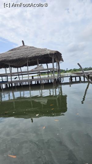 [P33] am ajuns la insulă » foto by robert
 - 
<span class="allrVoted glyphicon glyphicon-heart hidden" id="av1511300"></span>
<a class="m-l-10 hidden" id="sv1511300" onclick="voting_Foto_DelVot(,1511300,3514)" role="button">șterge vot <span class="glyphicon glyphicon-remove"></span></a>
<a id="v91511300" class=" c-red"  onclick="voting_Foto_SetVot(1511300)" role="button"><span class="glyphicon glyphicon-heart-empty"></span> <b>LIKE</b> = Votează poza</a> <img class="hidden"  id="f1511300W9" src="/imagini/loader.gif" border="0" /><span class="AjErrMes hidden" id="e1511300ErM"></span>