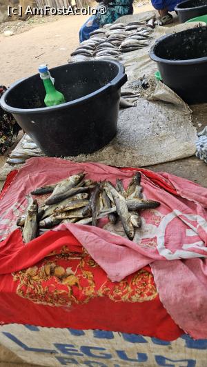 [P40] pe ulițele satului » foto by robert
 - 
<span class="allrVoted glyphicon glyphicon-heart hidden" id="av1511307"></span>
<a class="m-l-10 hidden" id="sv1511307" onclick="voting_Foto_DelVot(,1511307,3514)" role="button">șterge vot <span class="glyphicon glyphicon-remove"></span></a>
<a id="v91511307" class=" c-red"  onclick="voting_Foto_SetVot(1511307)" role="button"><span class="glyphicon glyphicon-heart-empty"></span> <b>LIKE</b> = Votează poza</a> <img class="hidden"  id="f1511307W9" src="/imagini/loader.gif" border="0" /><span class="AjErrMes hidden" id="e1511307ErM"></span>