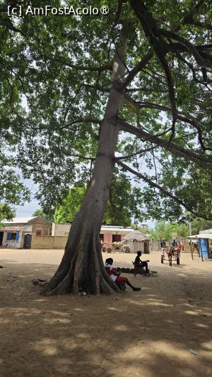 [P41] pe ulițele satului » foto by robert
 - 
<span class="allrVoted glyphicon glyphicon-heart hidden" id="av1511308"></span>
<a class="m-l-10 hidden" id="sv1511308" onclick="voting_Foto_DelVot(,1511308,3514)" role="button">șterge vot <span class="glyphicon glyphicon-remove"></span></a>
<a id="v91511308" class=" c-red"  onclick="voting_Foto_SetVot(1511308)" role="button"><span class="glyphicon glyphicon-heart-empty"></span> <b>LIKE</b> = Votează poza</a> <img class="hidden"  id="f1511308W9" src="/imagini/loader.gif" border="0" /><span class="AjErrMes hidden" id="e1511308ErM"></span>