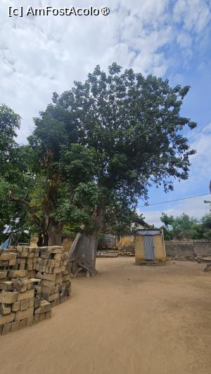 [P44] pe ulițele satului » foto by robert
 - 
<span class="allrVoted glyphicon glyphicon-heart hidden" id="av1511311"></span>
<a class="m-l-10 hidden" id="sv1511311" onclick="voting_Foto_DelVot(,1511311,3514)" role="button">șterge vot <span class="glyphicon glyphicon-remove"></span></a>
<a id="v91511311" class=" c-red"  onclick="voting_Foto_SetVot(1511311)" role="button"><span class="glyphicon glyphicon-heart-empty"></span> <b>LIKE</b> = Votează poza</a> <img class="hidden"  id="f1511311W9" src="/imagini/loader.gif" border="0" /><span class="AjErrMes hidden" id="e1511311ErM"></span>