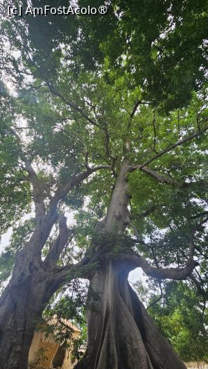 [P45] copac sacru » foto by robert
 - 
<span class="allrVoted glyphicon glyphicon-heart hidden" id="av1511312"></span>
<a class="m-l-10 hidden" id="sv1511312" onclick="voting_Foto_DelVot(,1511312,3514)" role="button">șterge vot <span class="glyphicon glyphicon-remove"></span></a>
<a id="v91511312" class=" c-red"  onclick="voting_Foto_SetVot(1511312)" role="button"><span class="glyphicon glyphicon-heart-empty"></span> <b>LIKE</b> = Votează poza</a> <img class="hidden"  id="f1511312W9" src="/imagini/loader.gif" border="0" /><span class="AjErrMes hidden" id="e1511312ErM"></span>