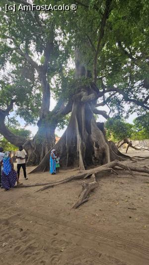 [P46] împletit simbolizează toleranța » foto by robert
 - 
<span class="allrVoted glyphicon glyphicon-heart hidden" id="av1511313"></span>
<a class="m-l-10 hidden" id="sv1511313" onclick="voting_Foto_DelVot(,1511313,3514)" role="button">șterge vot <span class="glyphicon glyphicon-remove"></span></a>
<a id="v91511313" class=" c-red"  onclick="voting_Foto_SetVot(1511313)" role="button"><span class="glyphicon glyphicon-heart-empty"></span> <b>LIKE</b> = Votează poza</a> <img class="hidden"  id="f1511313W9" src="/imagini/loader.gif" border="0" /><span class="AjErrMes hidden" id="e1511313ErM"></span>