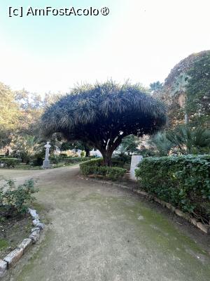 [P12] Palermo- Giardino di Garibaldi » foto by Yersinia Pestis
 - 
<span class="allrVoted glyphicon glyphicon-heart hidden" id="av1515500"></span>
<a class="m-l-10 hidden" id="sv1515500" onclick="voting_Foto_DelVot(,1515500,3527)" role="button">șterge vot <span class="glyphicon glyphicon-remove"></span></a>
<a id="v91515500" class=" c-red"  onclick="voting_Foto_SetVot(1515500)" role="button"><span class="glyphicon glyphicon-heart-empty"></span> <b>LIKE</b> = Votează poza</a> <img class="hidden"  id="f1515500W9" src="/imagini/loader.gif" border="0" /><span class="AjErrMes hidden" id="e1515500ErM"></span>