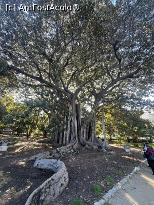 [P13] Palermo - Giardino di Garibaldi. Ficusul celebru » foto by Yersinia Pestis
 - 
<span class="allrVoted glyphicon glyphicon-heart hidden" id="av1515501"></span>
<a class="m-l-10 hidden" id="sv1515501" onclick="voting_Foto_DelVot(,1515501,3527)" role="button">șterge vot <span class="glyphicon glyphicon-remove"></span></a>
<a id="v91515501" class=" c-red"  onclick="voting_Foto_SetVot(1515501)" role="button"><span class="glyphicon glyphicon-heart-empty"></span> <b>LIKE</b> = Votează poza</a> <img class="hidden"  id="f1515501W9" src="/imagini/loader.gif" border="0" /><span class="AjErrMes hidden" id="e1515501ErM"></span>