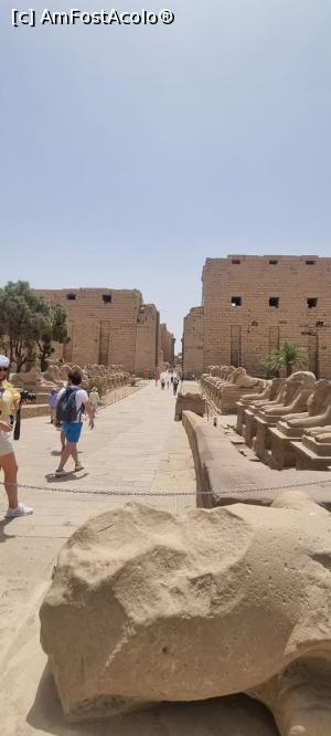 [P01] Karnak temple » foto by Lalexhere
 - 
<span class="allrVoted glyphicon glyphicon-heart hidden" id="av1226131"></span>
<a class="m-l-10 hidden" id="sv1226131" onclick="voting_Foto_DelVot(,1226131,3529)" role="button">șterge vot <span class="glyphicon glyphicon-remove"></span></a>
<a id="v91226131" class=" c-red"  onclick="voting_Foto_SetVot(1226131)" role="button"><span class="glyphicon glyphicon-heart-empty"></span> <b>LIKE</b> = Votează poza</a> <img class="hidden"  id="f1226131W9" src="/imagini/loader.gif" border="0" /><span class="AjErrMes hidden" id="e1226131ErM"></span>