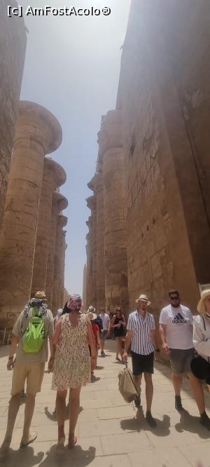 [P02] Karnak temple » foto by Lalexhere
 - 
<span class="allrVoted glyphicon glyphicon-heart hidden" id="av1226132"></span>
<a class="m-l-10 hidden" id="sv1226132" onclick="voting_Foto_DelVot(,1226132,3529)" role="button">șterge vot <span class="glyphicon glyphicon-remove"></span></a>
<a id="v91226132" class=" c-red"  onclick="voting_Foto_SetVot(1226132)" role="button"><span class="glyphicon glyphicon-heart-empty"></span> <b>LIKE</b> = Votează poza</a> <img class="hidden"  id="f1226132W9" src="/imagini/loader.gif" border="0" /><span class="AjErrMes hidden" id="e1226132ErM"></span>