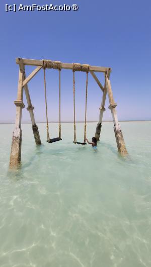 [P01] Celebrul leagăn din Orange Bay » foto by vlado2
 - 
<span class="allrVoted glyphicon glyphicon-heart hidden" id="av1523242"></span>
<a class="m-l-10 hidden" id="sv1523242" onclick="voting_Foto_DelVot(,1523242,3529)" role="button">șterge vot <span class="glyphicon glyphicon-remove"></span></a>
<a id="v91523242" class=" c-red"  onclick="voting_Foto_SetVot(1523242)" role="button"><span class="glyphicon glyphicon-heart-empty"></span> <b>LIKE</b> = Votează poza</a> <img class="hidden"  id="f1523242W9" src="/imagini/loader.gif" border="0" /><span class="AjErrMes hidden" id="e1523242ErM"></span>