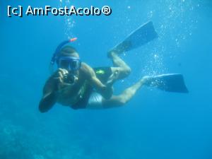[P02] Un animator de pe vaporas, apare la hublouri si ne fotografiaza » foto by dorgo
 - 
<span class="allrVoted glyphicon glyphicon-heart hidden" id="av1074708"></span>
<a class="m-l-10 hidden" id="sv1074708" onclick="voting_Foto_DelVot(,1074708,3529)" role="button">șterge vot <span class="glyphicon glyphicon-remove"></span></a>
<a id="v91074708" class=" c-red"  onclick="voting_Foto_SetVot(1074708)" role="button"><span class="glyphicon glyphicon-heart-empty"></span> <b>LIKE</b> = Votează poza</a> <img class="hidden"  id="f1074708W9" src="/imagini/loader.gif" border="0" /><span class="AjErrMes hidden" id="e1074708ErM"></span>