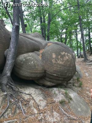 [P01]  -- <small>// FĂRĂ DESCRIERE</small> » foto by GloriaS
 - 
<span class="allrVoted glyphicon glyphicon-heart hidden" id="av1483153"></span>
<a class="m-l-10 hidden" id="sv1483153" onclick="voting_Foto_DelVot(,1483153,3566)" role="button">șterge vot <span class="glyphicon glyphicon-remove"></span></a>
<a id="v91483153" class=" c-red"  onclick="voting_Foto_SetVot(1483153)" role="button"><span class="glyphicon glyphicon-heart-empty"></span> <b>LIKE</b> = Votează poza</a> <img class="hidden"  id="f1483153W9" src="/imagini/loader.gif" border="0" /><span class="AjErrMes hidden" id="e1483153ErM"></span>