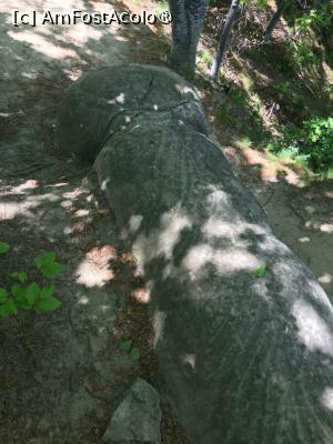 [P06] Pare o statuie facuta de mana omeneasca, pentru ca are simetrie. » foto by GloriaS
 - 
<span class="allrVoted glyphicon glyphicon-heart hidden" id="av1483158"></span>
<a class="m-l-10 hidden" id="sv1483158" onclick="voting_Foto_DelVot(,1483158,3566)" role="button">șterge vot <span class="glyphicon glyphicon-remove"></span></a>
<a id="v91483158" class=" c-red"  onclick="voting_Foto_SetVot(1483158)" role="button"><span class="glyphicon glyphicon-heart-empty"></span> <b>LIKE</b> = Votează poza</a> <img class="hidden"  id="f1483158W9" src="/imagini/loader.gif" border="0" /><span class="AjErrMes hidden" id="e1483158ErM"></span>
