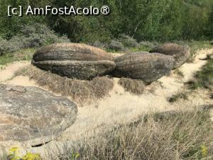 [P07] Trovanti » foto by GloriaS
 - 
<span class="allrVoted glyphicon glyphicon-heart hidden" id="av1483159"></span>
<a class="m-l-10 hidden" id="sv1483159" onclick="voting_Foto_DelVot(,1483159,3566)" role="button">șterge vot <span class="glyphicon glyphicon-remove"></span></a>
<a id="v91483159" class=" c-red"  onclick="voting_Foto_SetVot(1483159)" role="button"><span class="glyphicon glyphicon-heart-empty"></span> <b>LIKE</b> = Votează poza</a> <img class="hidden"  id="f1483159W9" src="/imagini/loader.gif" border="0" /><span class="AjErrMes hidden" id="e1483159ErM"></span>